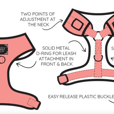 Size Medium Sassy Woof Adjustable Neoprene Dog Harness Vest w/No Pull D-Ring in Apple Cider Orange & Rose Gold Hardware