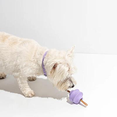 Wild One Twist Toss Dog Toy 100% Natural Rubber, Fun to Chew, Durable for Average Chewers, Fetch Toy, Treat Dispensing Lilac Purple