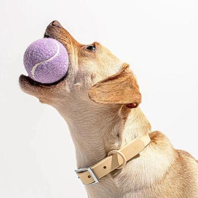 Set of 4 Wild One Lilac Purple Tennis Balls w/Cream Carry Bag