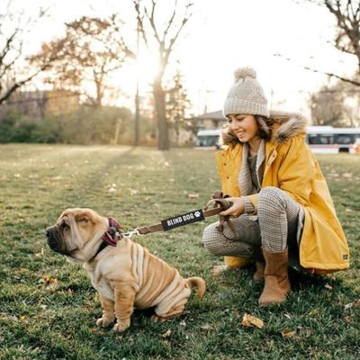 2-Pack Dog Leash Wraps "Pet Me Please" And "Blind Dog" Notification Awareness Wraps