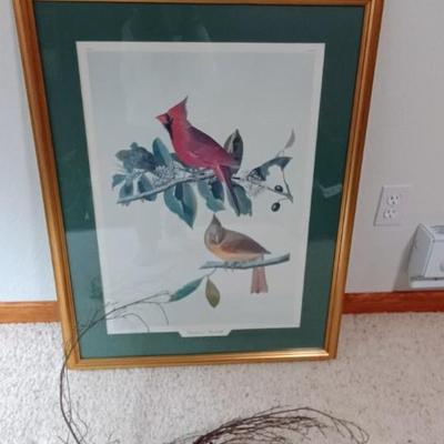 CARDINAL GROSBEAK DRAWN BY JJ AUDUBON