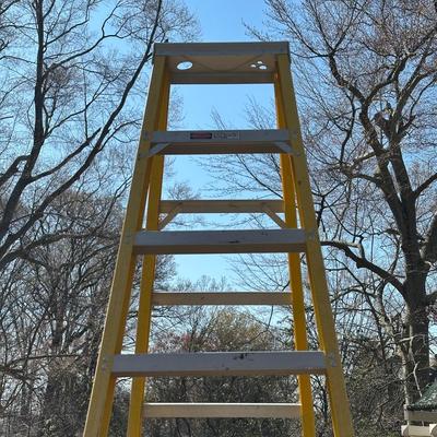 LOT 48S: Werner 10’ Ladder 7210