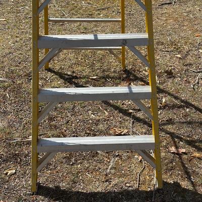 LOT 48S: Werner 10’ Ladder 7210