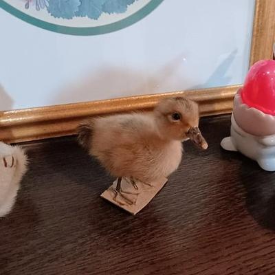 EASTER DECORATIONS