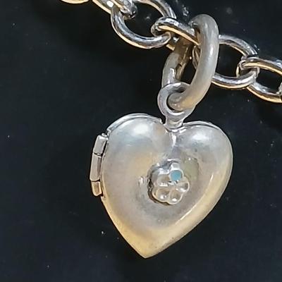 Wells Ster marked Charm bracelet Horses- Owl - Cat - Dog- Piano - Sterling bracelet