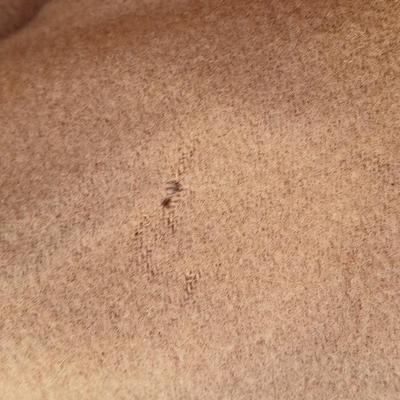 Vintage Camel hair and Wool blend coat -