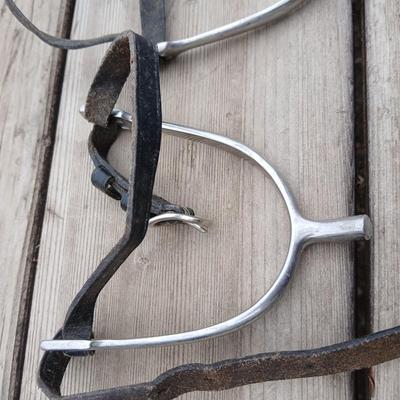 Equestrian Tack - Two pairs of Spurs - Sprenger and unmarked English riding spurs with leather straps