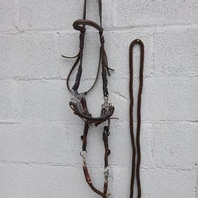 Equestrian Tack - Leather hackamore bitless Bridle with nylon rope reins