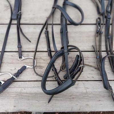 Equestrian Tack - Leather bridle parts - Perri's and other leather