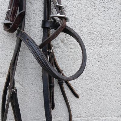 Equestrian Tack - Leather bridle parts - Perri's and other leather