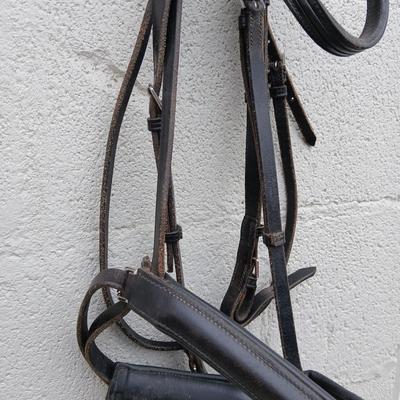 Equestrian Tack - Leather bridle parts - Perri's and other leather