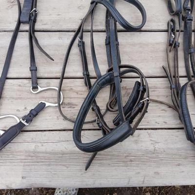 Equestrian Tack - Leather bridle parts - Perri's and other leather