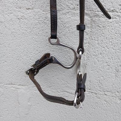 Equestrian Tack - Leather bridle parts - Perri's and other leather