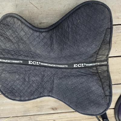 Equestrian Tack - English Saddle / riding pads one with matching Girth