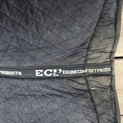 Equestrian Tack - English Saddle / riding pads one with matching Girth