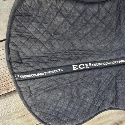Equestrian Tack - English Saddle / riding pads one with matching Girth
