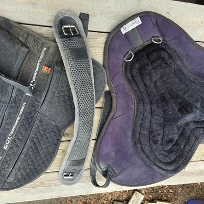 Equestrian Tack - English Saddle / riding pads one with matching Girth