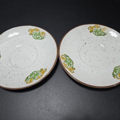 5 wild flower Cups and Saucers