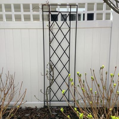 O674 Large Black Metal Trellis