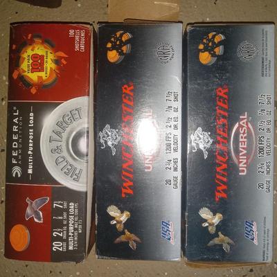 20 gauge ammo