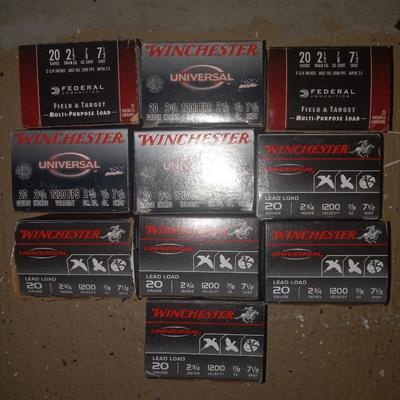 20 gauge shells
