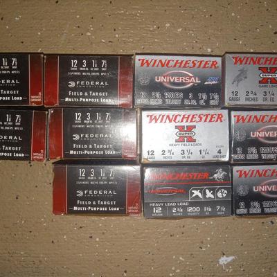 12 gauge ammo