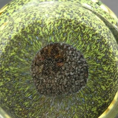 Yellow flower Glass paperweight - with blue and yellow background