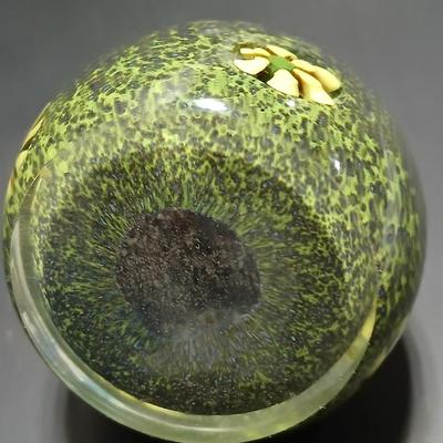 Yellow flower Glass paperweight - with blue and yellow background