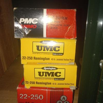 22-250 ammo