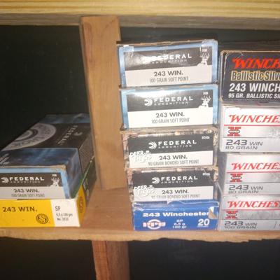 243 ammo