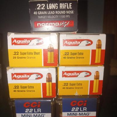 22 ammo