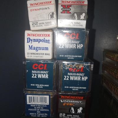22 ammo