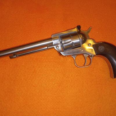 Ruger 22 cal