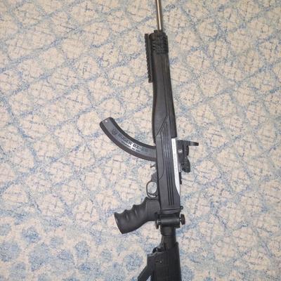 Ruger 10-22