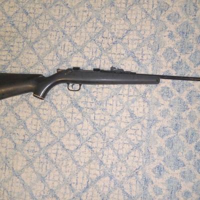 Daisy model 8 22
