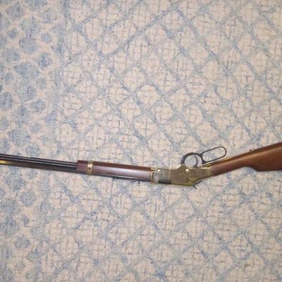 Henry 22 mag