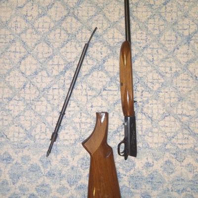 Browning 22