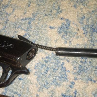 Browning 22