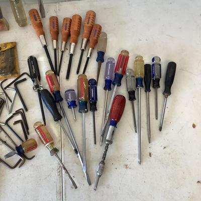 G883 Lot of Craftsman, KOBALT Screwdrivers, Hex Keys and more