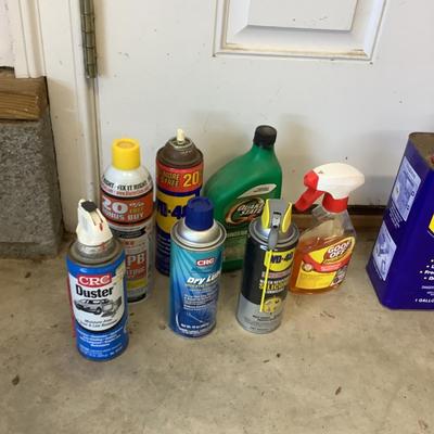 G917 Lot of Chemicals and 1-Gal Gasoline Containers