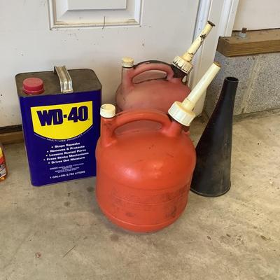 G917 Lot of Chemicals and 1-Gal Gasoline Containers