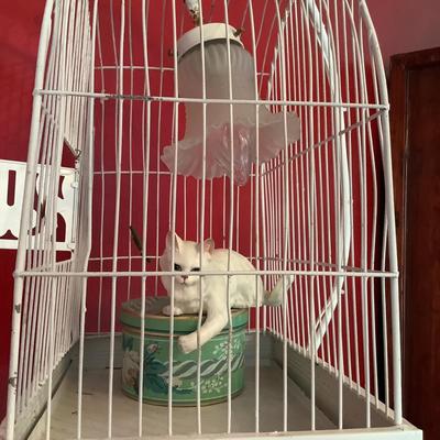 K702 Antique Hendrix Bird Cage with Light