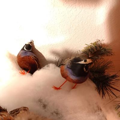 BIRD TREE ORNAMENTS MOST WITH REAL FEATHERS