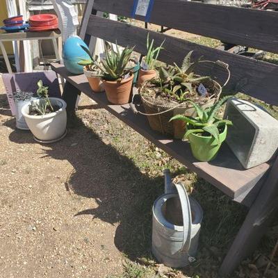 Spring plants Succulents Cacti. 
Bench $75