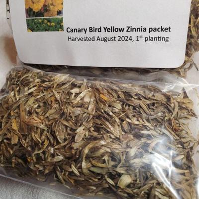 Canary yellow zinna seeds $3