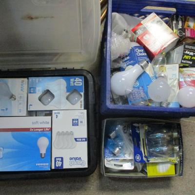 Assortment Of Light Bulbs Various Sizes