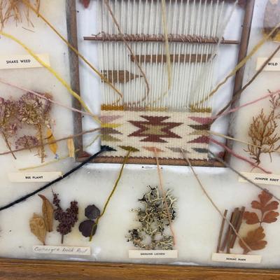 Natural Dyes of the Navajo Indigenous Framed Seeds and Plants