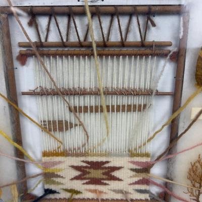 Natural Dyes of the Navajo Indigenous Framed Seeds and Plants