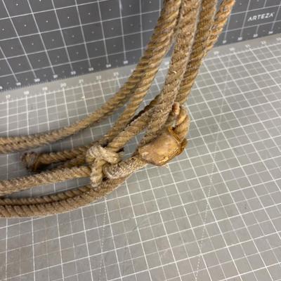 LASSO Lariat - Yippie-Ki-Yay! 