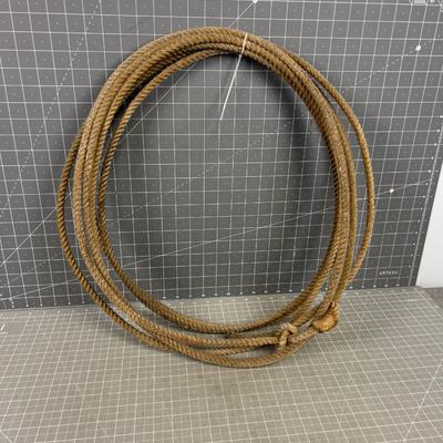 LASSO Lariat - Yippie-Ki-Yay! 